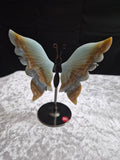 Blue Caribbean Calcite Butterfly Wings with Stand