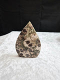 Russian Cherry Blossom Teardrop